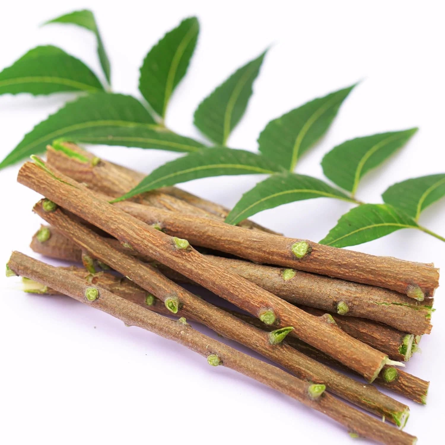 Organic Neem Brush