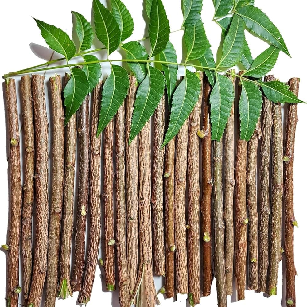 Organic Neem Brush close up