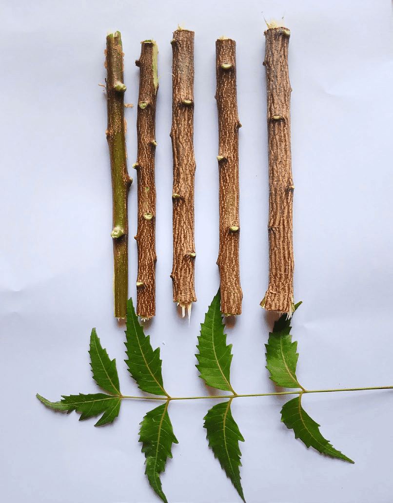 Organic Neem Brush